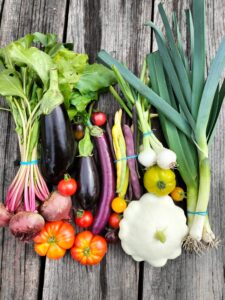 A collection of vibrant looking vegetables from our urban farm.