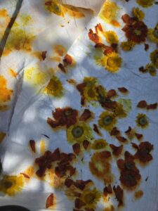 Colourful flowers transferring colour onto a sheet of material.